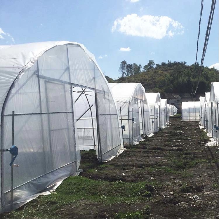 How to lay film in greenhouse construction to hinder the growth of weeds