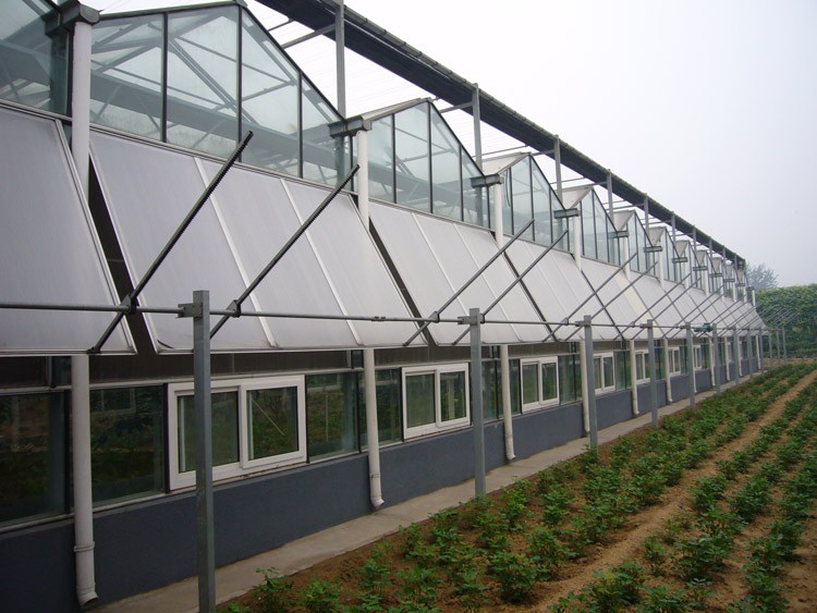 Greenhouse Ventilation System