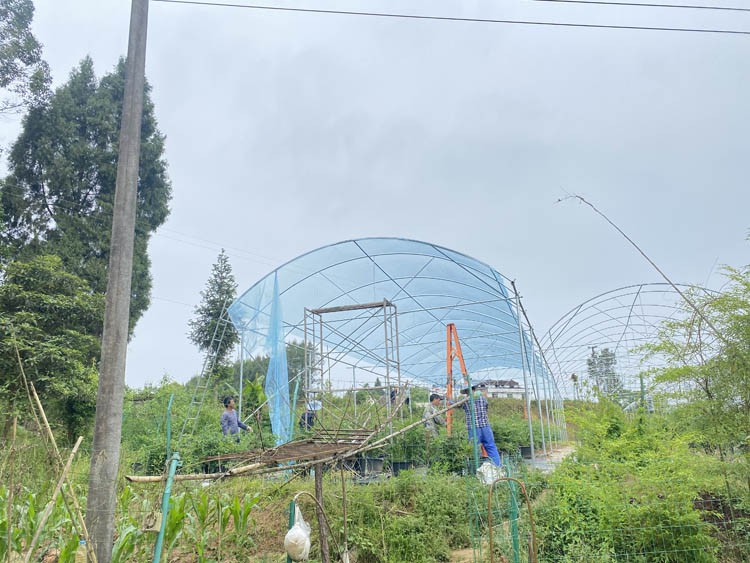 Rainly Greenhouse Rainly Greenhouse