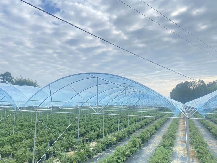 How to build a glass greenhouse