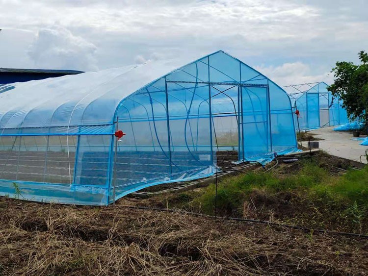 Methods of Improving the Utilization Rate of Steel Frame Greenhouses