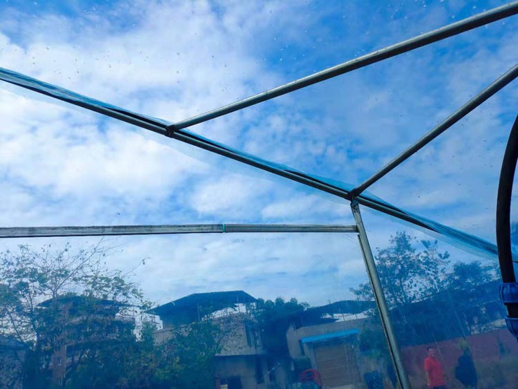 Steel Frame Greenhouses