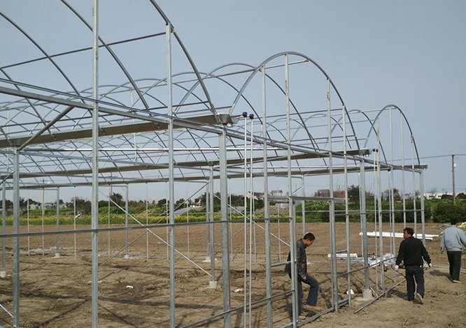 The following four points should be considered when building a greenhouse The following four points should be considered when building a greenhouse