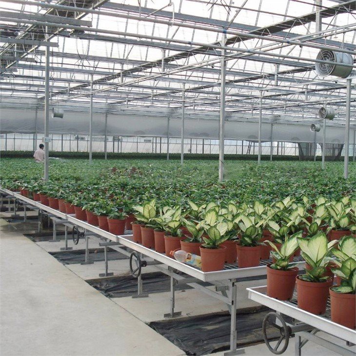greenhouse seedbed nursery supplier