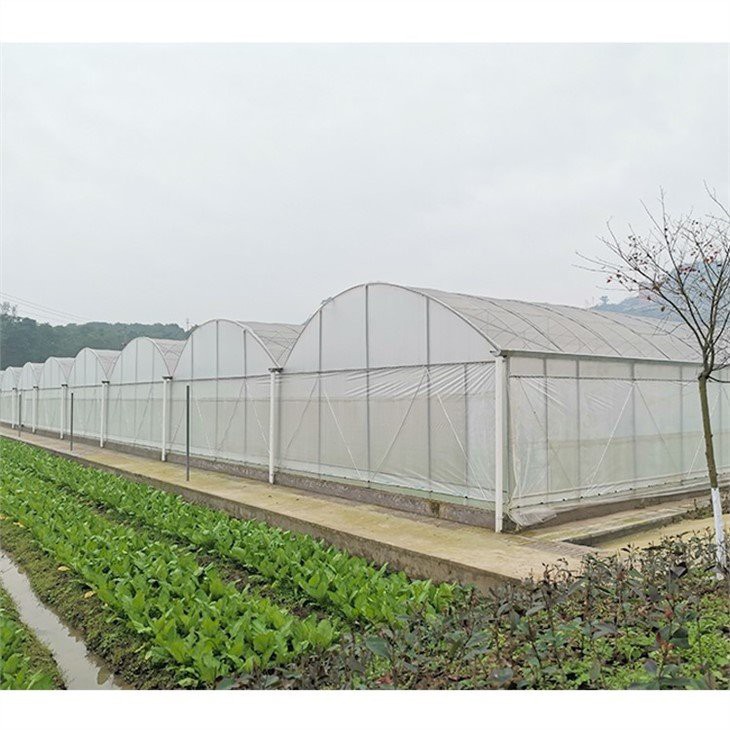 plastic dome greenhouse price