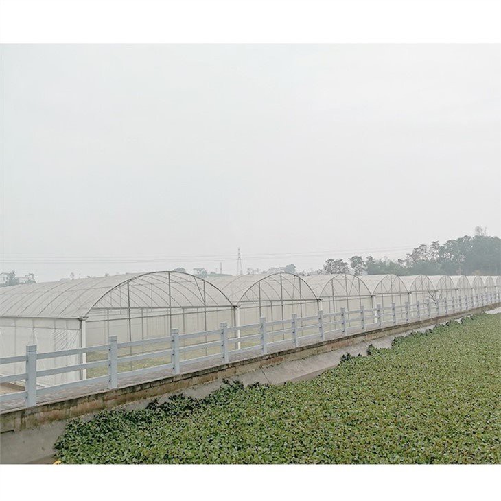 plastic dome greenhouse supplier