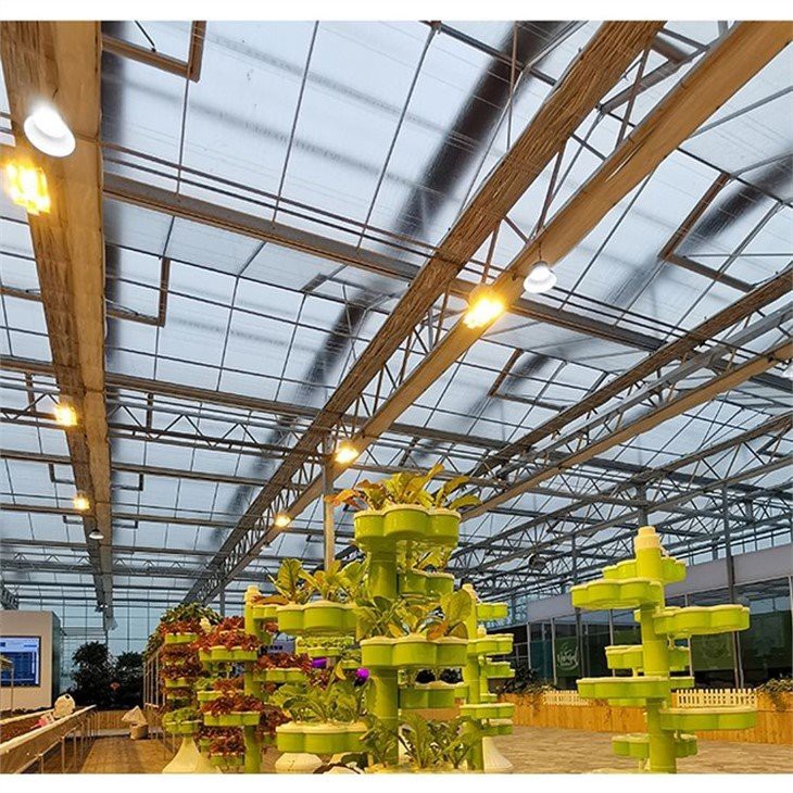 plastic dome greenhouse manufacture(001)