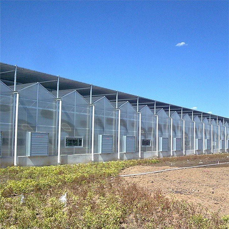pvc greenhouse cover supplier