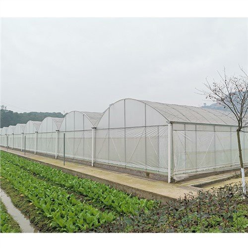 12 Mil 직조 온실 플라스틱