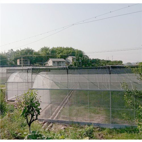 온실을위한 콜드 프레임 플라스틱 시트