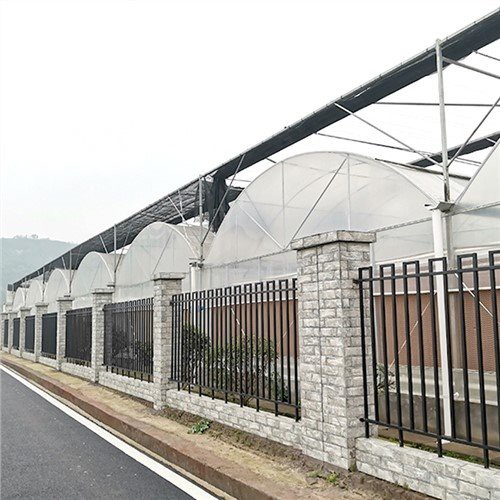 플라스틱 돔 온실